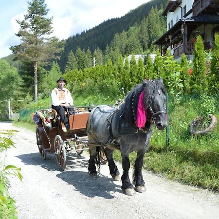 Вілла Casa Aureliana Ciocanesti Екстер'єр фото