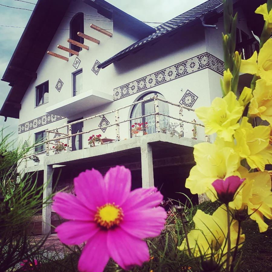 Вілла Casa Aureliana Ciocanesti Екстер'єр фото