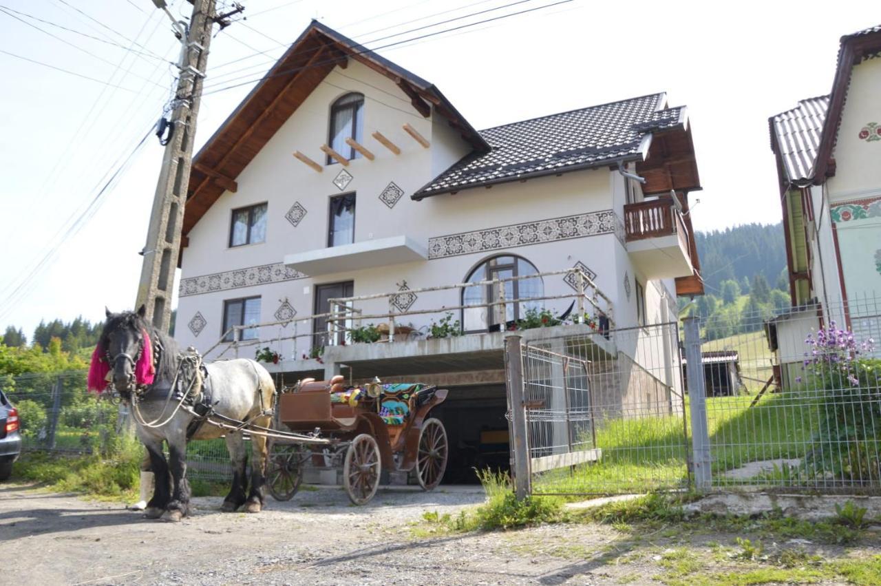 Вілла Casa Aureliana Ciocanesti Екстер'єр фото